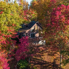 Green Forest Lodge