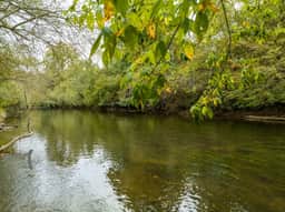 Life on the River