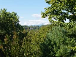 The Lookout at Blue Ridge - Image 4